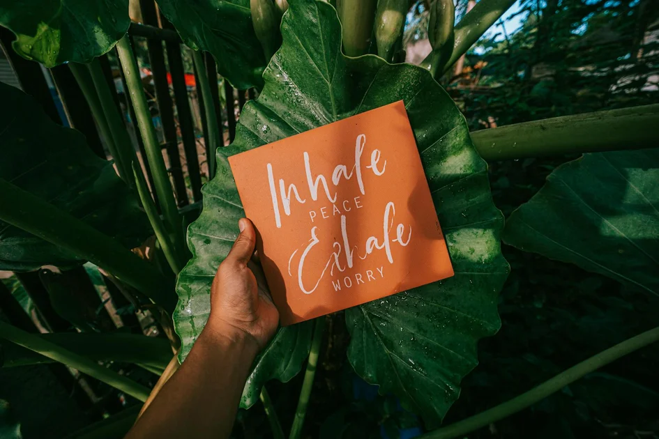 Cultivating Daily Mindfulness
