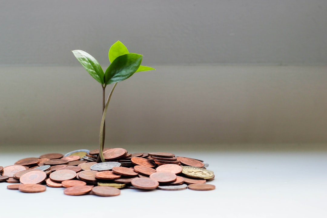 Building Multiple Income Streams: The Path to Financial Resilience - Practical Approach and Implementation